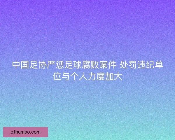 中国足协严惩足球腐败案件 处罚违纪单位与个人力度加大